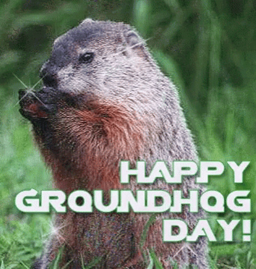 Happy Sparkling Groundhog Day GIF