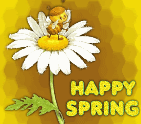 Happy Spring Bee Resting On Flower GIF