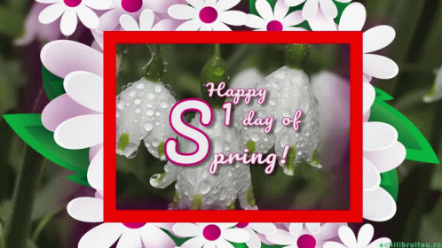 Happy Spring Greeting Card With Flowers GIF