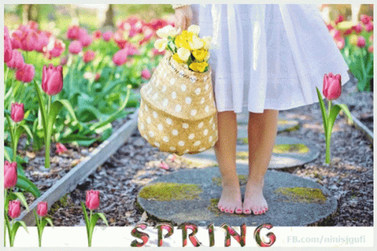 Happy Spring GIF