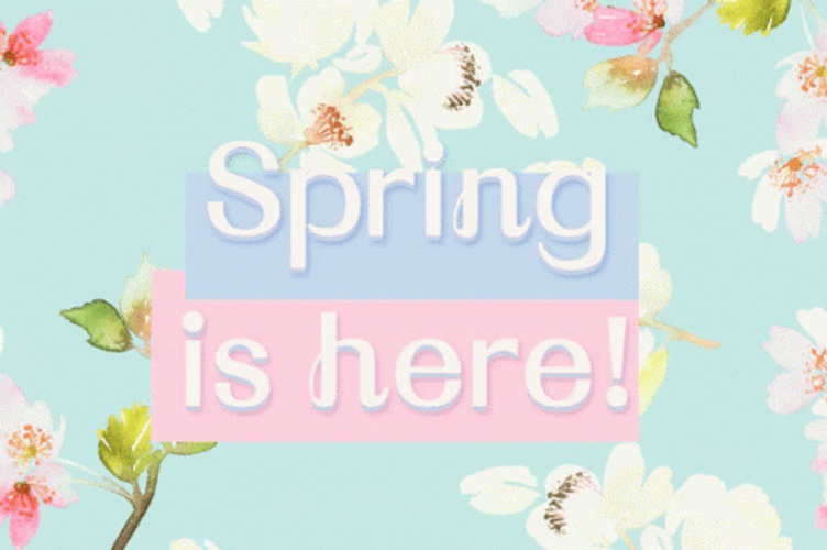 Happy Spring Pastel Flower Color GIF