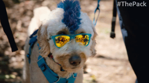 Happy Summer Dogpool GIF