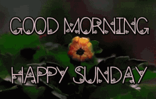 Happy Sunday Blooming Flower Visual Art GIF