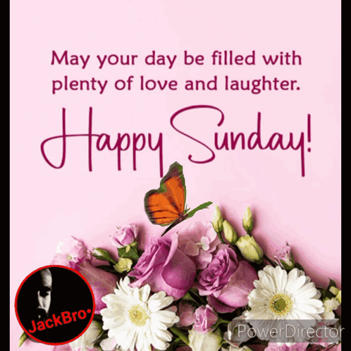 Happy Sunday Butterfly and Flowers