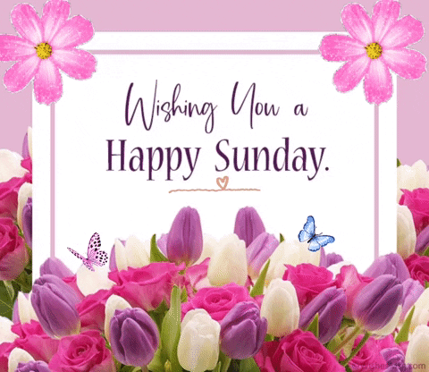 Happy Sunday Card With Flowers and Butterflies
