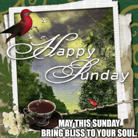 Happy Sunday Coffee and Bird