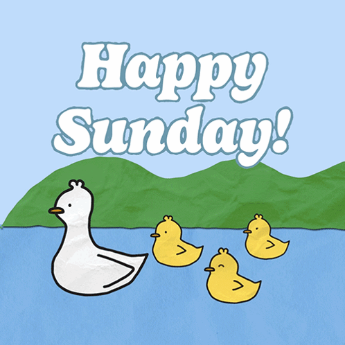 Happy Sunday Greeting Card With Ducklings