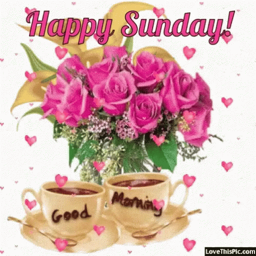 Happy Sunday Greeting With Pink Roses And Two Cups Of Coffee GIF