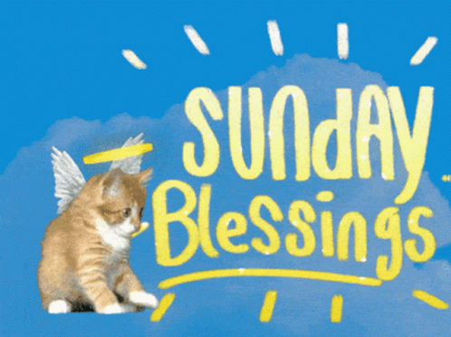 Happy Sunday Morning Blessings Angel Cat GIF