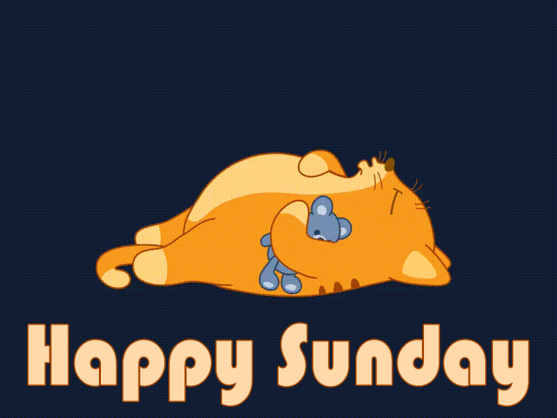 Happy Sunday Morning Cat Still Sleeping GIF