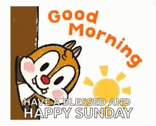 Happy Sunday Morning Good Morning Squirrel GIF