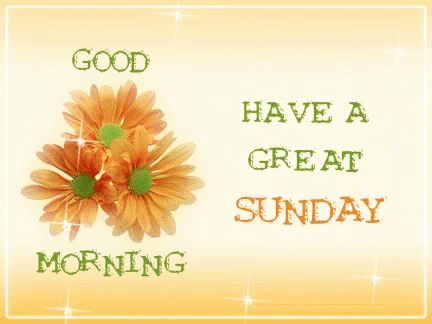 Happy Sunday Morning Great Day Yellow Daisy Flower GIF