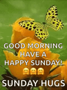 Happy Sunday Morning Hugs Yellow Butterfly Flower GIF
