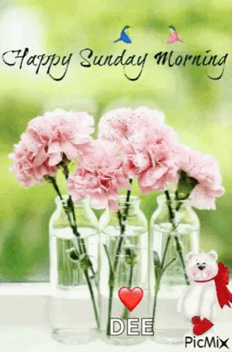 Happy Sunday Morning Pink Flowers and Teddy Bear