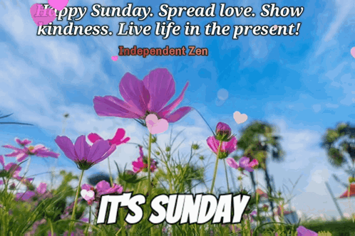 Happy Sunday Spread Love Show Kindness Live Present GIF