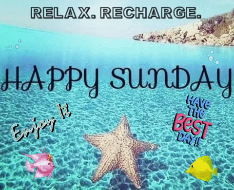 Happy Sunday Starfish In Water GIF