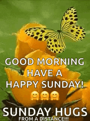 Happy Sunday with Hugs from a Distance