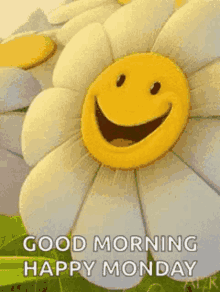 Happy Sunflower Wink Monday Good Morning GIF