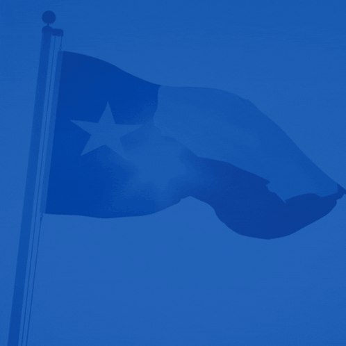 Happy Texas Independence Day