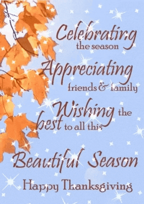 Happy Thankgiving Thanksgiving GIF
