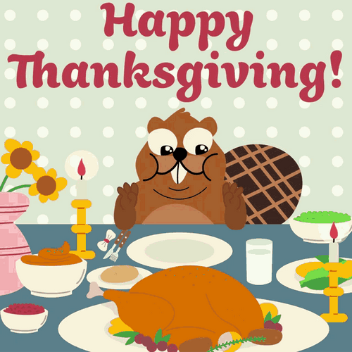 Happy Thanksgiving Beaver GIF