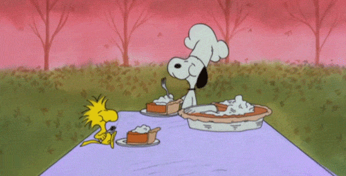 Happy Thanksgiving Charlie Brown Picnic GIF