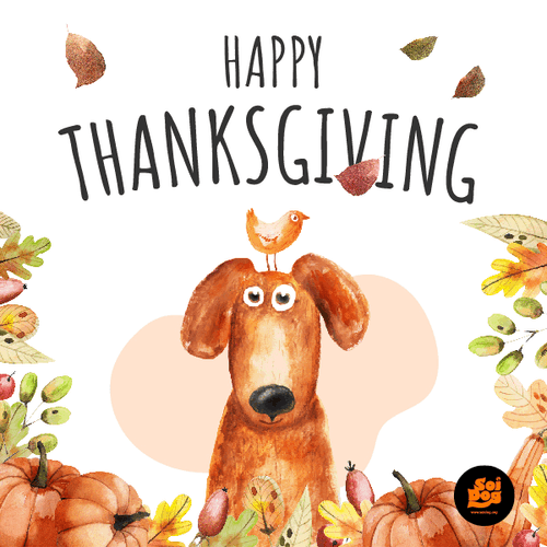 Happy Thanksgiving Charming Dog Graphics Design GIF