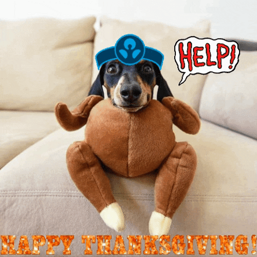 Happy Thanksgiving Dog In Turkey Costume GIF
