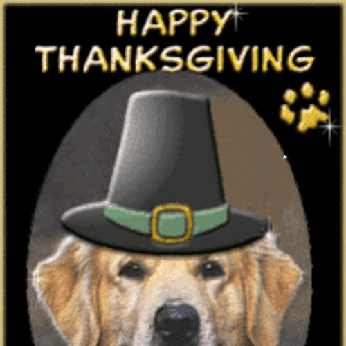 Happy Thanksgiving Dog Wearing Heart Digital Artwork GIF