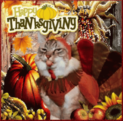 Happy Thanksgiving Shimmering Family Cat GIF