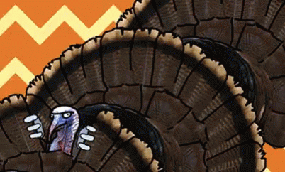 Happy Thanksgiving Sister Turkey Unlimited GIF