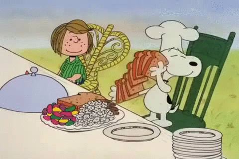 Happy Thanksgiving Snoopy Slice Bread GIF