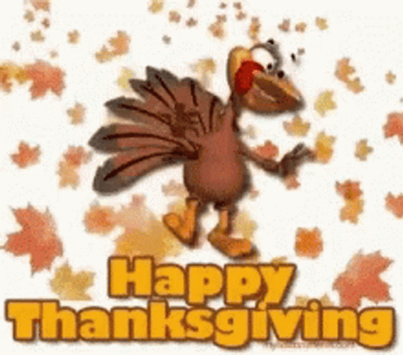 Happy Thanksgiving Turkey Day  GIF