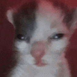 Happy Thanksgiving Week Meme GIF