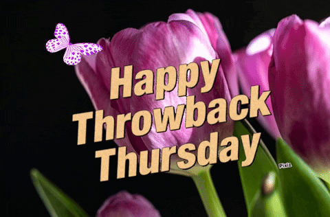 Happy Throwback Thursday Tulips GIF