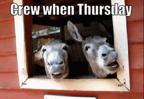 Happy Thursday Funny Excited Horses GIF