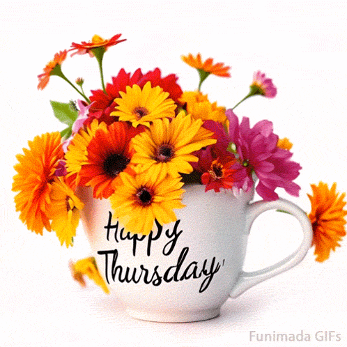 Happy Thursday Gif GIF