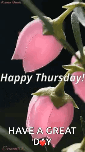 Happy Thursday ! Have A Great Day With Pink Flowers On A Black Background . GIF