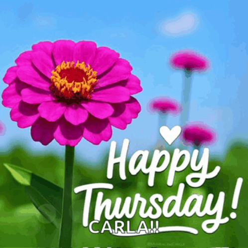 Happy Thursday Images Meme GIF