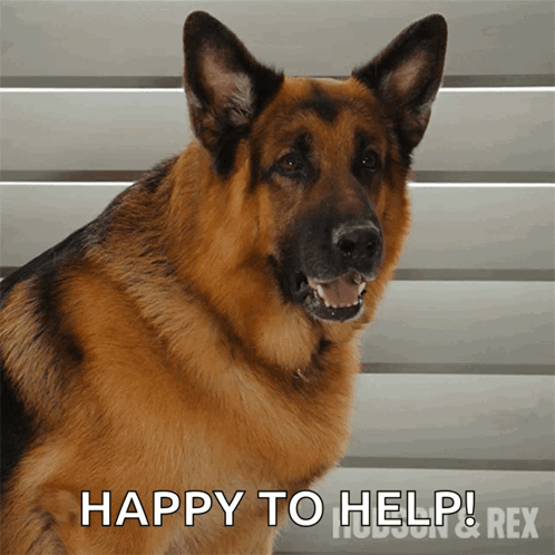 Happy To Help Bark Rex GIF