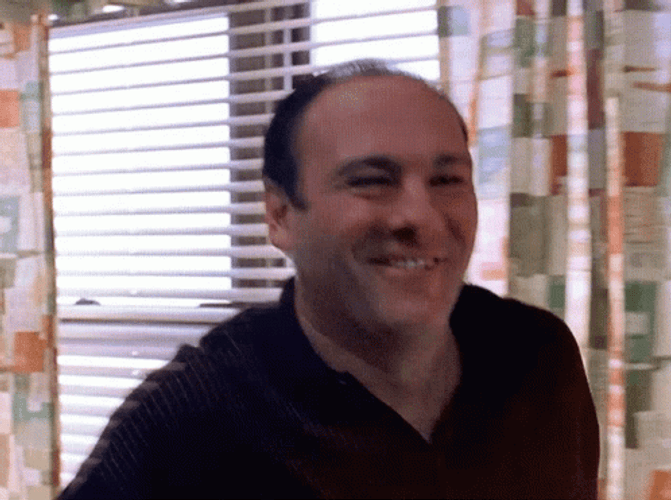 Happy Tony Soprano GIF