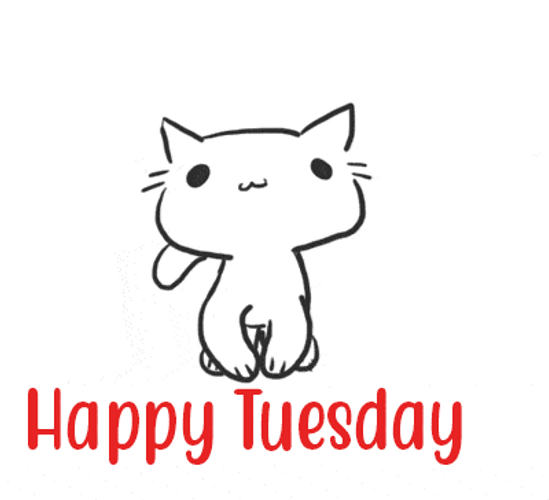 Happy Tuesday Cat GIF