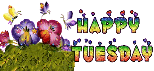 Happy Tuesday Flowers and Butterflies