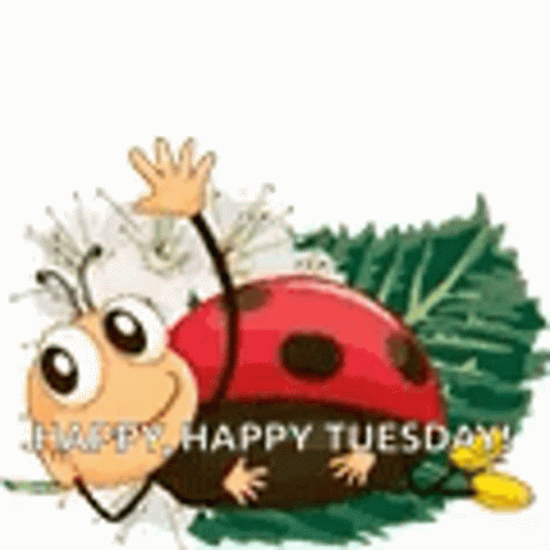 Happy Tuesday Funny Ladybug Wave GIF