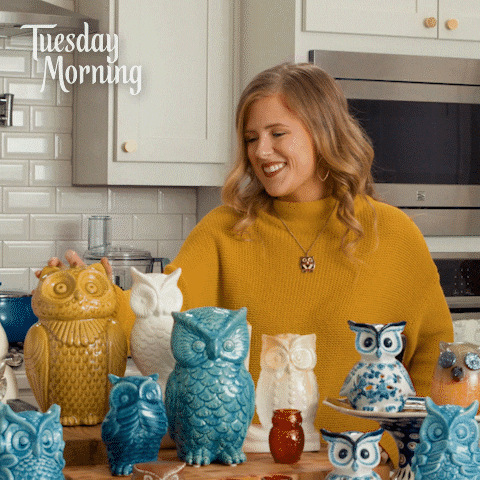 Happy Tuesday Funny Owl Ceramics GIF