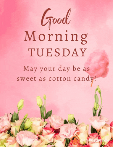 Happy Tuesday Greetings Card Meme GIF