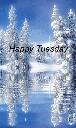 Happy Tuesday Snow Forest GIF