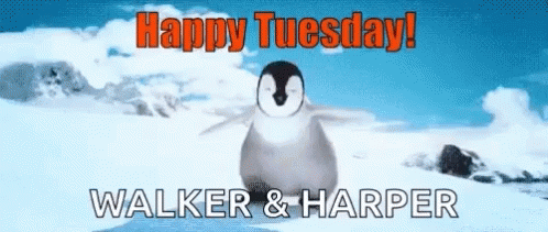 Happy Tuesday Walker and Harper with Penguin