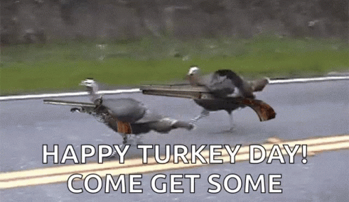 Happy Turkey Day Come Get Some GIF