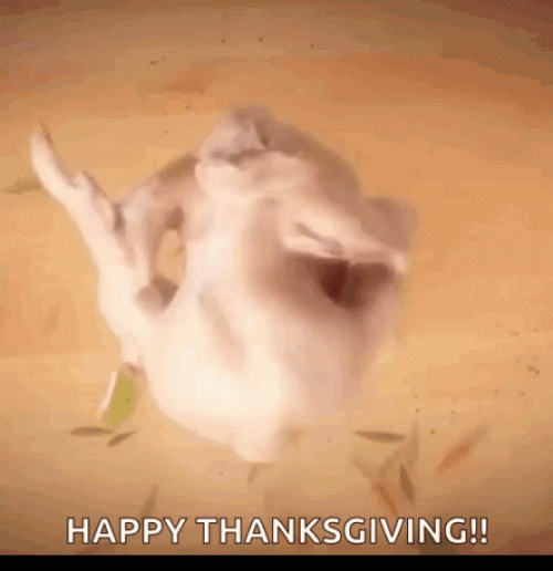 Happy Turkey Day Dancing Turkey GIF